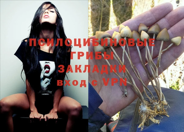 mix Алексин