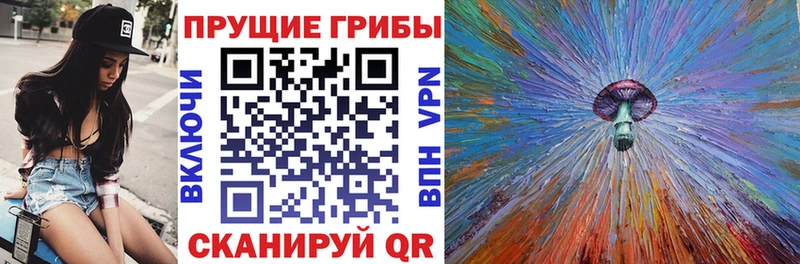 Галлюциногенные грибы Psilocybe  закладка  ссылка на мегу онион  Коряжма 